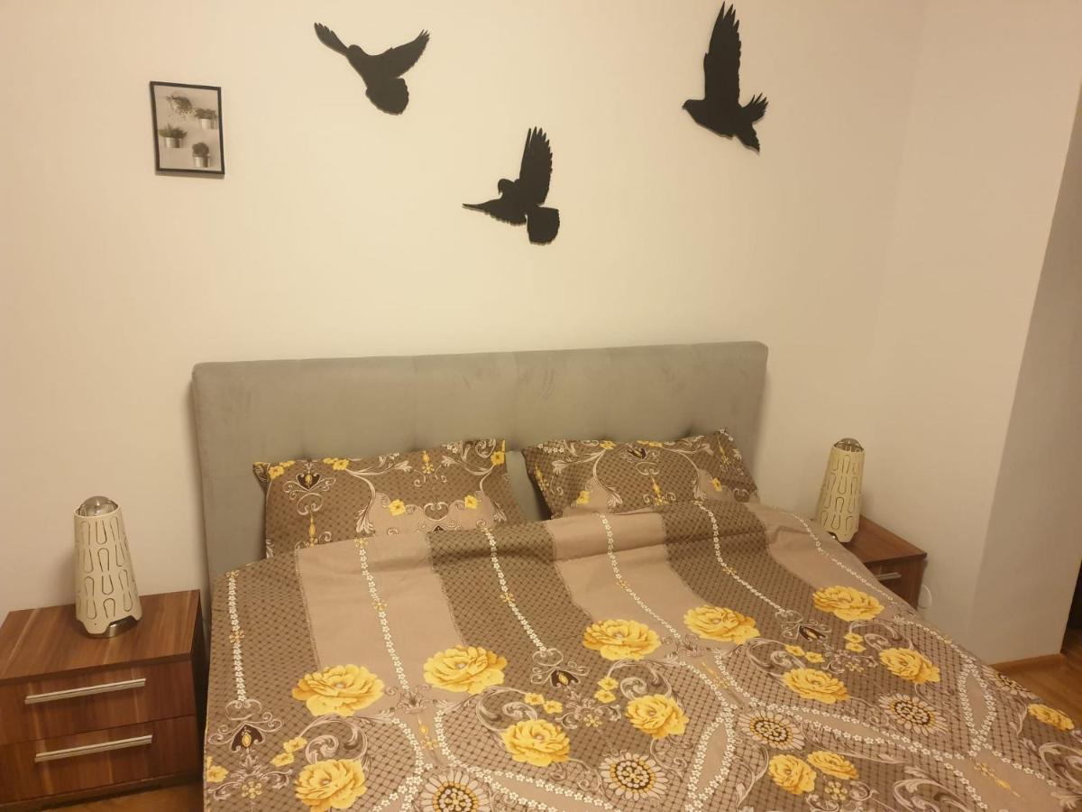 Lucky Residence II Брашов Екстер'єр фото